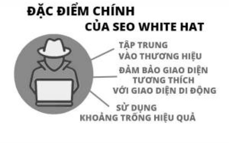 Các yếu tố tạo nên seo white hat