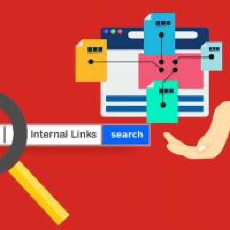 Cách phân loại internal link dễ dàng nhất